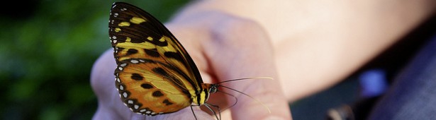 Klarheit des Herzens