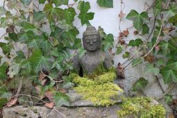 budda