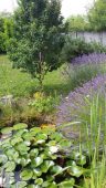 garten 2